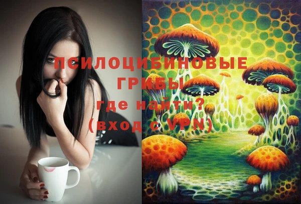 амф Дмитров