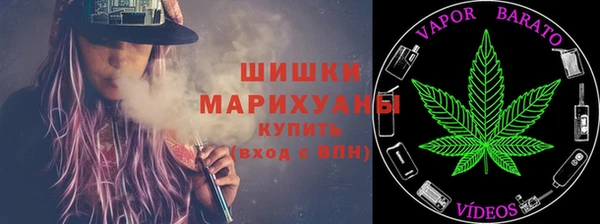 амф Дмитров