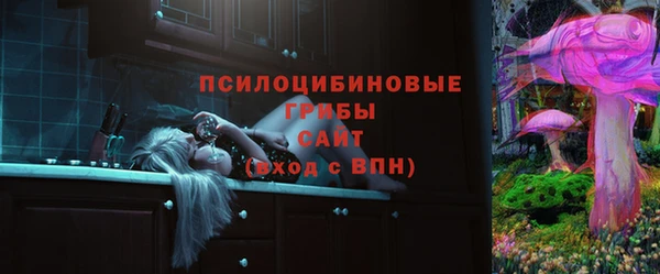 метадон Дмитриев