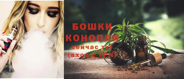 амф Дмитров